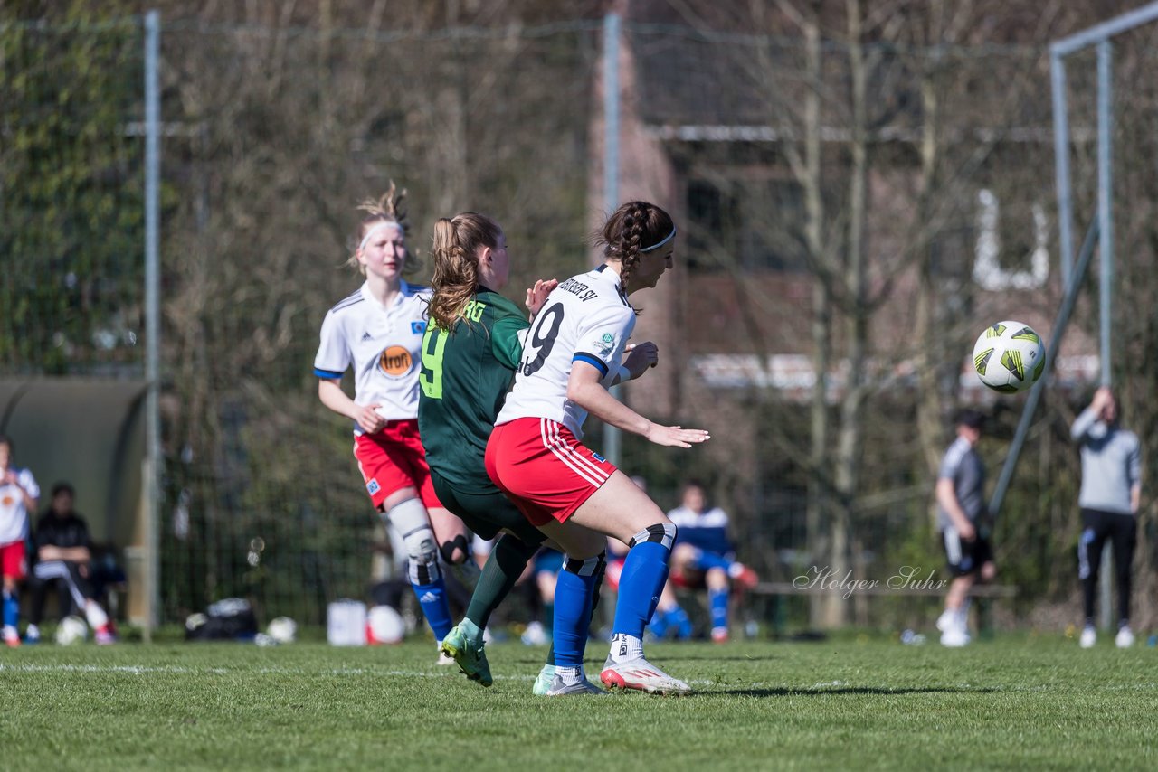 Bild 309 - wBJ Hamburger SV - WfL Wolfsburg : Ergebnis: 2:1